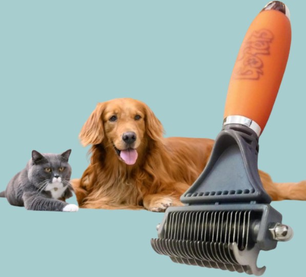 GoPets Features