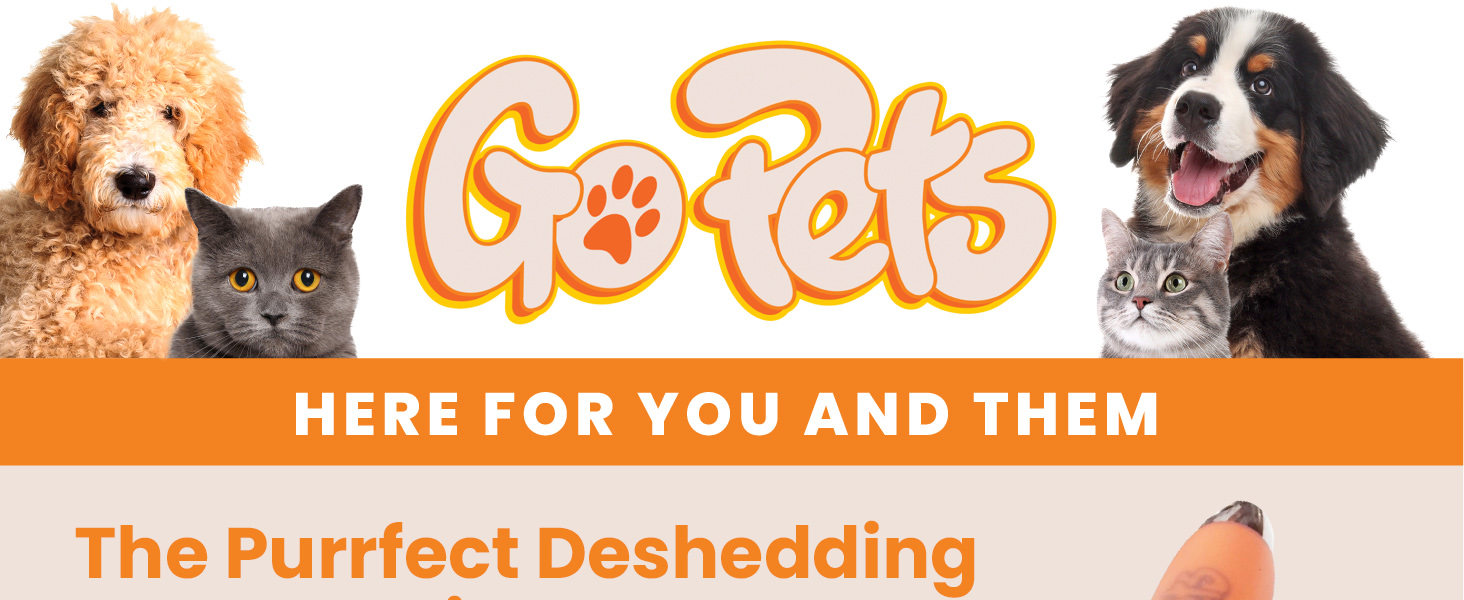 GoPets photo 4